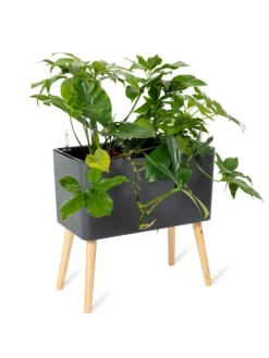 Ava Self-Watering Rectangular Planter -Deals The Garden & Yard Store 8612691 0013