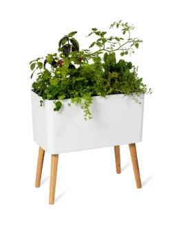 Ava Self-Watering Rectangular Planter -Deals The Garden & Yard Store 8612691 0014