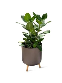 Ava Self-Watering Round Planter 11 Ava Self-Watering Round Planter -Deals The Garden & Yard Store 8612692 0003