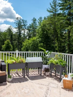 Self-Watering Standing Salad Planter With Cloche 11 Self-Watering Standing Salad Planter With Cloche -Deals The Garden & Yard Store 8612702 2002 tif