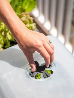 Self-Watering Standing Salad Planter With Cloche 9 Self-Watering Standing Salad Planter With Cloche -Deals The Garden & Yard Store 8612702 2034 tif