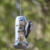 Suet Ball Feeder