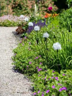 Dandelion Solar Stake -Deals The Garden & Yard Store 8612713 4472