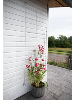 Chicken Wire Wall Trellis 14 Chicken Wire Wall Trellis -Deals The Garden & Yard Store 8612717 0081