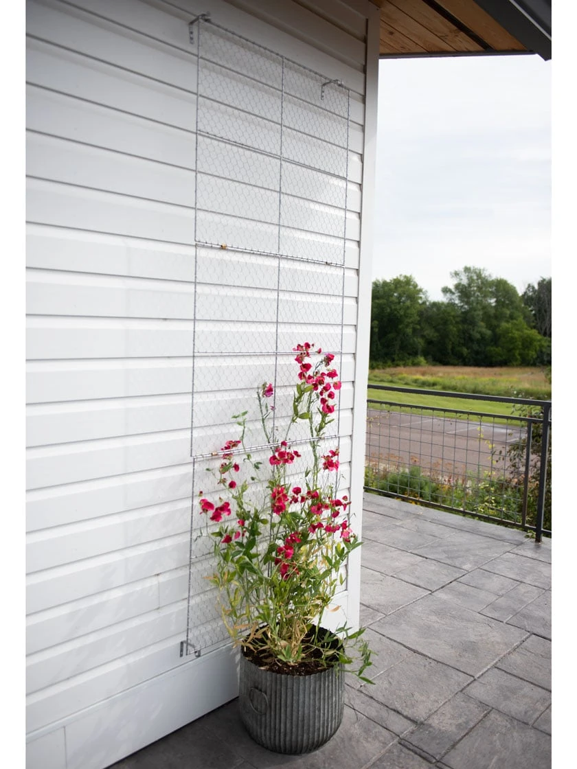 Chicken Wire Wall Trellis 6 Chicken Wire Wall Trellis - Image 6