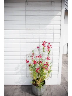 Chicken Wire Wall Trellis 11 Chicken Wire Wall Trellis -Deals The Garden & Yard Store 8612717 0092