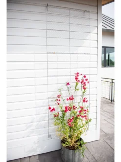 Chicken Wire Wall Trellis 13 Chicken Wire Wall Trellis -Deals The Garden & Yard Store 8612717 0093