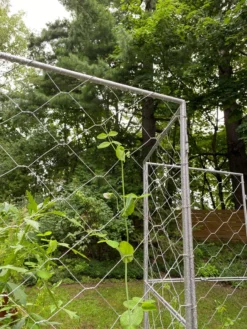 Chicken Wire Pea Trellis -Deals The Garden & Yard Store 8612718 7302