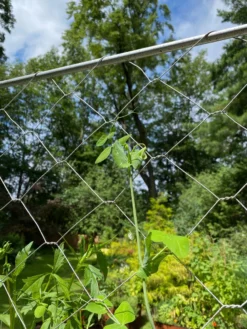 Chicken Wire Pea Trellis -Deals The Garden & Yard Store 8612718 7311