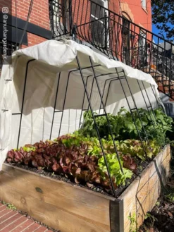 Cotton All Purpose Garden Cover 9 Cotton All Purpose Garden Cover -Deals The Garden & Yard Store 8612816 01CUST