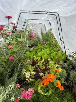 Zenith Garden Hoops, Set Of 4 -Deals The Garden & Yard Store 8612816 01TEST 1