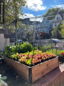 Zenith Garden Hoops, Set Of 4 -Deals The Garden & Yard Store 8612816 02CUST