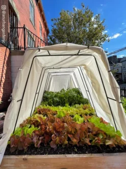 Cotton All Purpose Garden Cover 10 Cotton All Purpose Garden Cover -Deals The Garden & Yard Store 8612816 03CUST