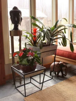 Achla Designs Arne Plant Stand 11 Achla Designs Arne Plant Stand -Deals The Garden & Yard Store 8612900 03v