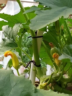 Farmyarn® Multipurpose Garden Tie, 2 Pack -Deals The Garden & Yard Store 8612948 01v