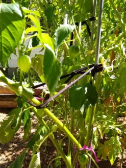 Farmyarn® Multipurpose Garden Tie, 2 Pack -Deals The Garden & Yard Store 8612948 02v