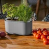 Tolita Recycled Self-Watering Flower Box