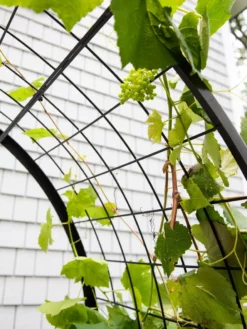 2’ X 4’ Arch Trellis For Planter Boxes -Deals The Garden & Yard Store 8612976 0436