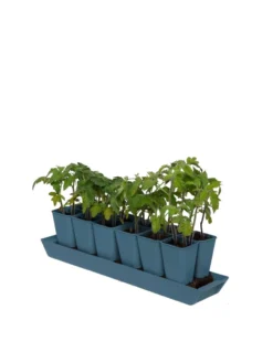 Gardener's Best® XL Seed Starting Kit -Deals The Garden & Yard Store 8613066 0029