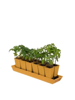 Gardener's Best® XL Seed Starting Kit -Deals The Garden & Yard Store 8613066 1029