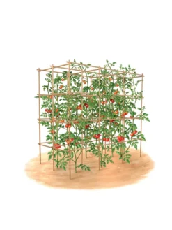 Tomato Six Pack Support -Deals The Garden & Yard Store 8613143 art flat