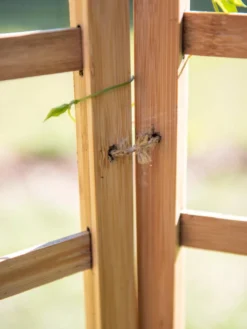 Bamboo Zig-Zag Trellis 24" X 36" -Deals The Garden & Yard Store 8613151 6483