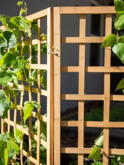 Bamboo Zig-Zag Trellis 24" X 36" -Deals The Garden & Yard Store 8613151 6491