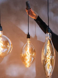 Retro Essence™ Vintage LED Light Bulbs -Deals The Garden & Yard Store 8613229 7066