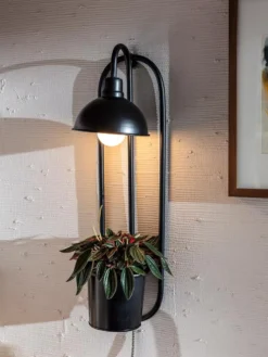 Kira Grow Light Hanging Planter