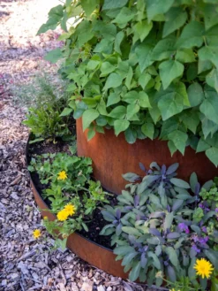 Birdies™ Corten Steel Tiered Round Raised Bed Kit, Tall -Deals The Garden & Yard Store 8613245 0195