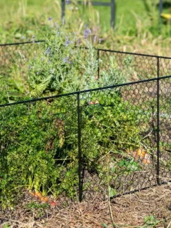 Chicken Wire Critter Fence, 16" High -Deals The Garden & Yard Store 8613249 0352
