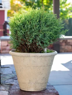 Self-Watering LavaStone® Anson Pot -Deals The Garden & Yard Store 8613255 0144