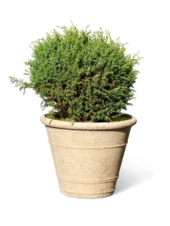 Self-Watering LavaStone® Anson Pot -Deals The Garden & Yard Store 8613255 0150