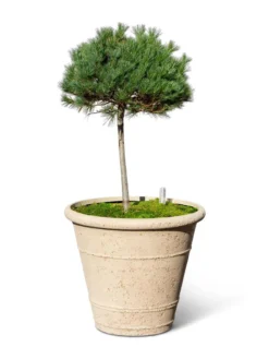 Self-Watering LavaStone® Anson Pot -Deals The Garden & Yard Store 8613256 0138