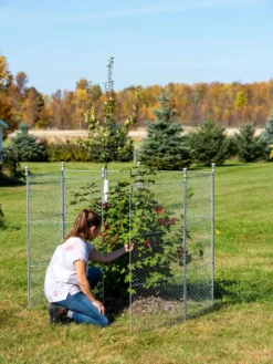 Tall Chicken Wire Critter Fence With Gate 16 Tall Chicken Wire Critter Fence With Gate -Deals The Garden & Yard Store 8613260 0044 1
