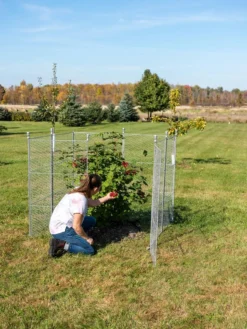 Tall Chicken Wire Critter Fence Extension Panel, Set Of 2 -Deals The Garden & Yard Store 8613260 0090