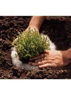 Hortiwool ®, 5 Pad Pack -Deals The Garden & Yard Store 8613263 06v