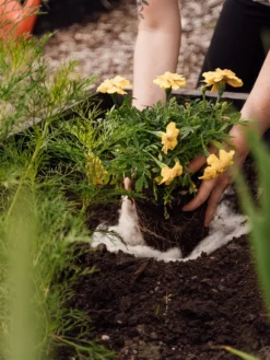 Hortiwool ®, Starter Garden Pad -Deals The Garden & Yard Store 8613263 12v 1