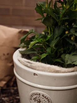 Hortiwool ®, 5 Pad Pack -Deals The Garden & Yard Store 8613263 17v