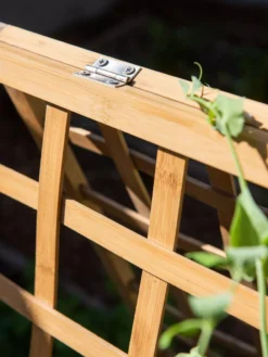 Bambo A Frame Plant Support, 30" X 42.5" -Deals The Garden & Yard Store 8613310 6525