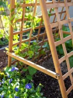Bambo A Frame Plant Support, 30" X 42.5" -Deals The Garden & Yard Store 8613310 6556