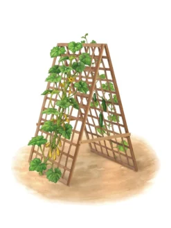 Bambo A Frame Plant Support, 30" X 42.5" -Deals The Garden & Yard Store 8613310 art flat