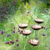 Copper Poppy Sways, Set Of 5