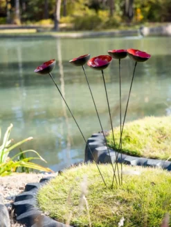 Red Poppy Sways, Set Of 5