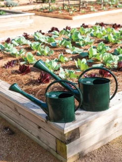 Long Reach Watering Can, Large -Deals The Garden & Yard Store 8613346 0148 1