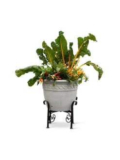 Covington Adjustable Plant Stands -Deals The Garden & Yard Store 8613347 0119