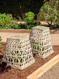 Bamboo Cloche, Set Of 2 -Deals The Garden & Yard Store 8613351 0150 bamboo cloche set of 2