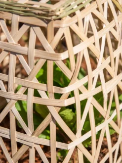 Bamboo Cloche, Set Of 2 -Deals The Garden & Yard Store 8613351 0153