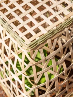 Bamboo Cloche, Set Of 2 -Deals The Garden & Yard Store 8613351 0154