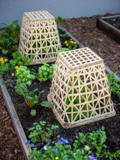 Bamboo Cloche, Set Of 2 -Deals The Garden & Yard Store 8613351 6766